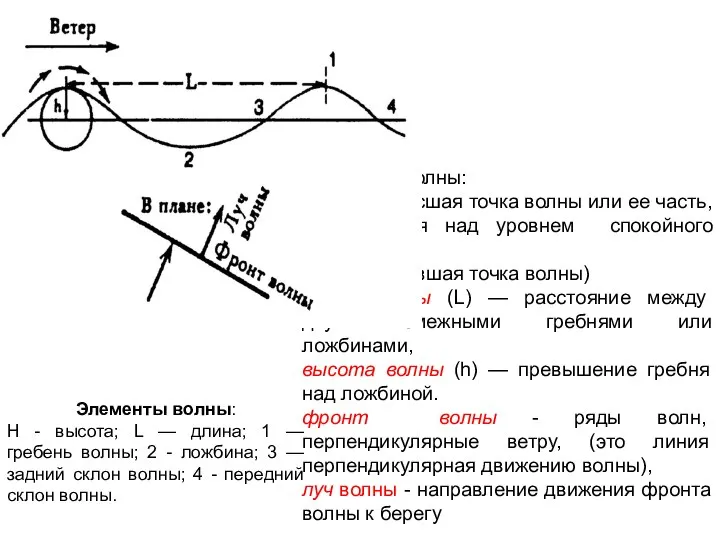 Элементы волны: гребень (высшая точка волны или ее часть, вьступающая над