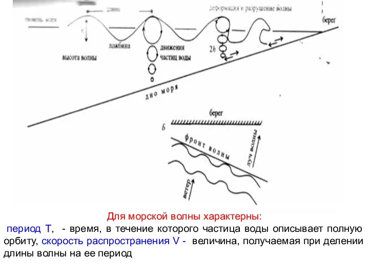 Для морской волны характерны: период Т, - время, в течение которого