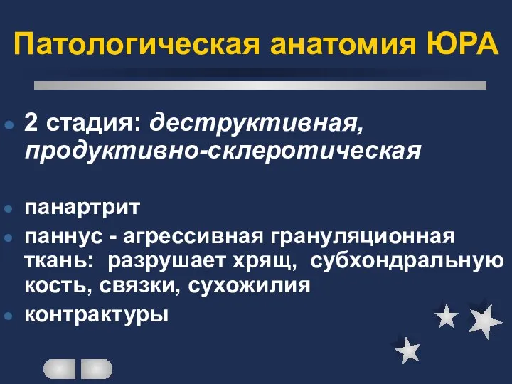 Патологическая анатомия ЮРА 2 стадия: деструктивная, продуктивно-склеротическая панартрит паннус - агрессивная