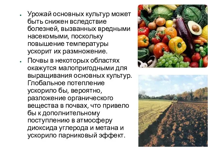 Урожай основных культур может быть снижен вследствие болезней, вызванных вредными насекомыми,