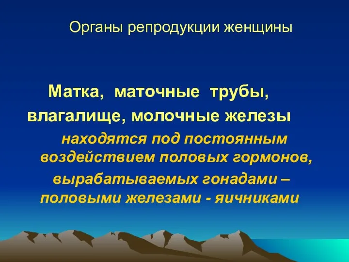 Органы репродукции женщины Матка, маточные трубы, влагалище, молочные железы находятся под