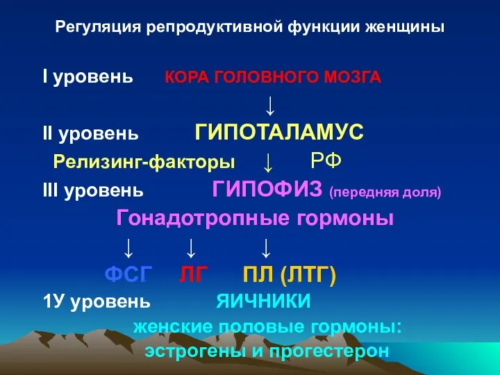 Регуляция репродуктивной функции женщины I уровень КОРА ГОЛОВНОГО МОЗГА ↓ II