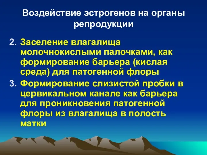 Воздействие эстрогенов на органы репродукции Заселение влагалища молочнокислыми палочками, как формирование