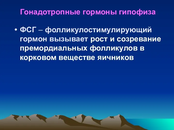 Гонадотропные гормоны гипофиза ФСГ – фолликулостимулирующий гормон вызывает рост и созревание