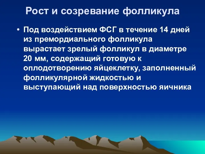 Рост и созревание фолликула Под воздействием ФСГ в течение 14 дней