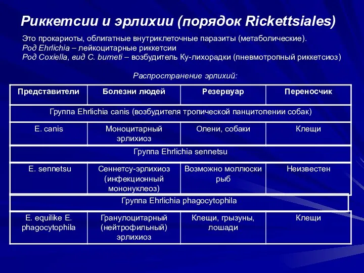 Риккетсии и эрлихии (порядок Rickettsiales) Это прокариоты, облигатные внутриклеточные паразиты (метаболические).