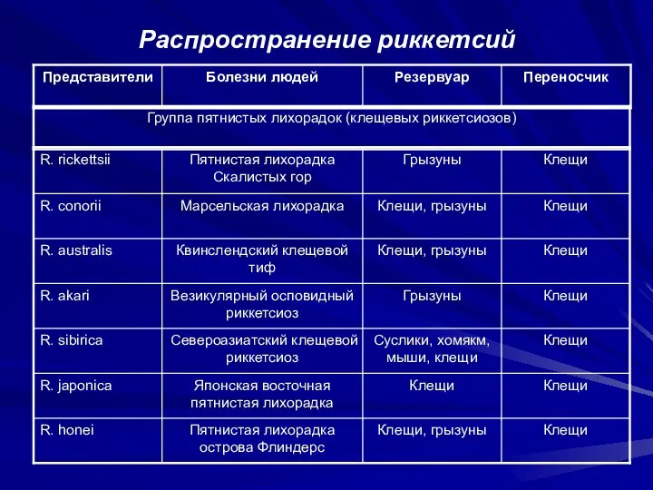 Распространение риккетсий