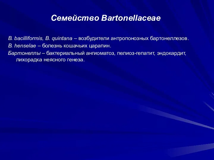 Семейство Bartonellaceae B. bacilliformis, B. quintana – возбудители антропонозных бартонеллезов. B.