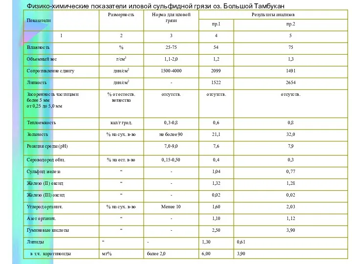 Физико-химические показатели иловой сульфидной грязи оз. Большой Тамбукан