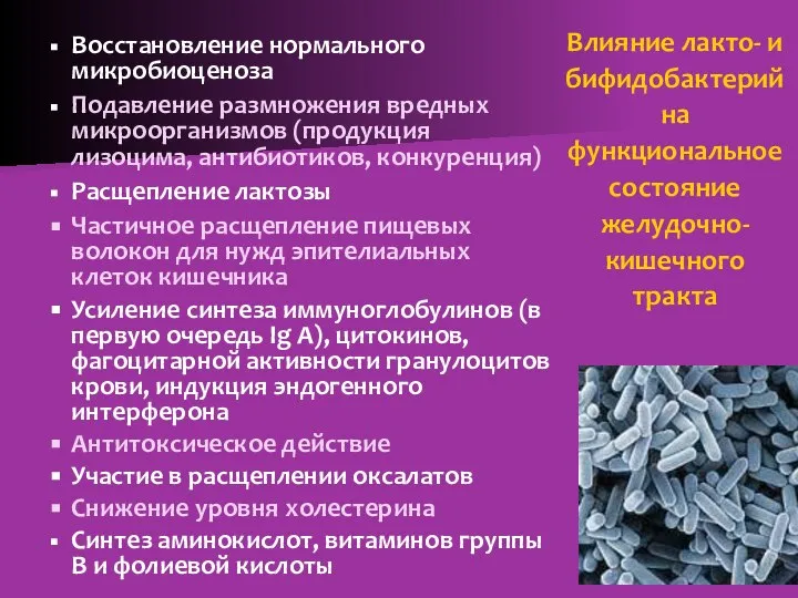 Влияние лакто- и бифидобактерий на функциональное состояние желудочно-кишечного тракта