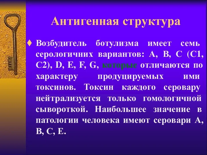 Антигенная структура Возбудитель ботулизма имеет семь серологичних вариантов: А, В, С