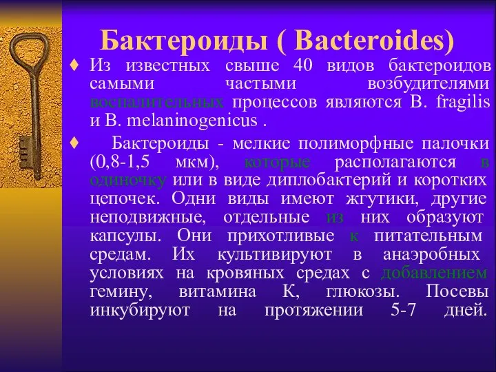 Бактероиды ( Bacteroides) Из известных свыше 40 видов бактероидов самыми частыми