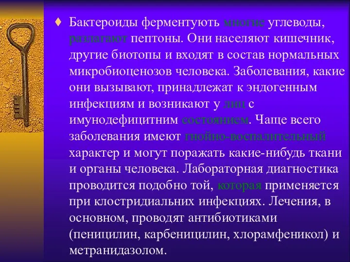 Бактероиды ферментують многие углеводы, разлагают пептоны. Они населяют кишечник, другие биотопы