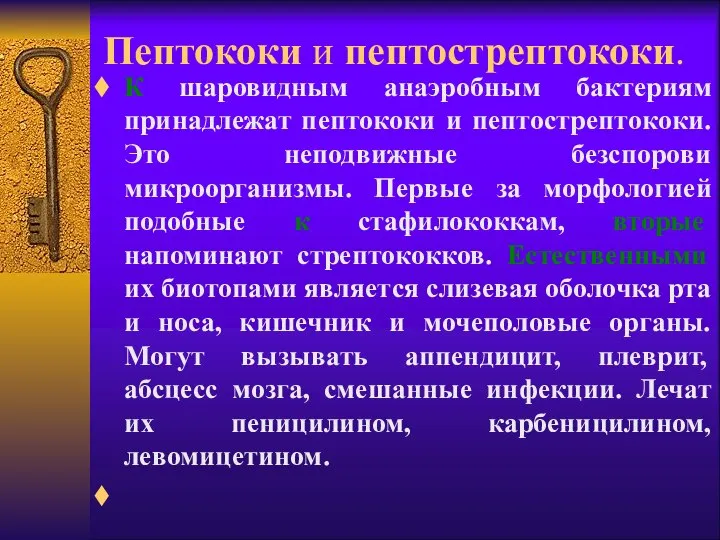 Пептококи и пептострептококи. К шаровидным анаэробным бактериям принадлежат пептококи и пептострептококи.