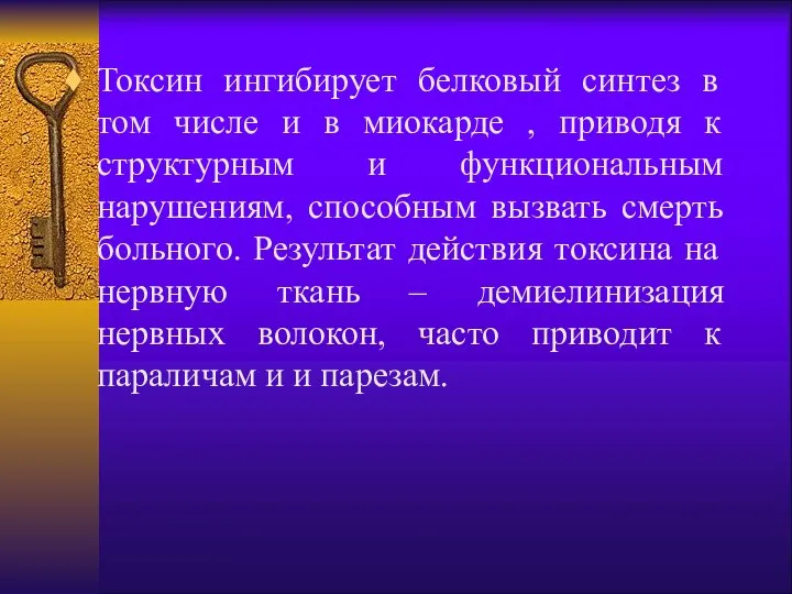 Токсин ингибирует белковый синтез в том числе и в миокарде ,