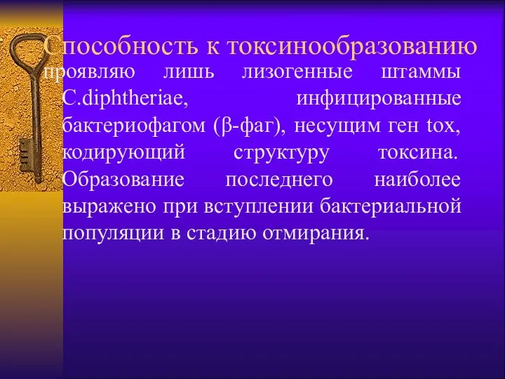 Способность к токсинообразованию проявляю лишь лизогенные штаммы C.diphtheriae, инфицированные бактериофагом (β-фаг),