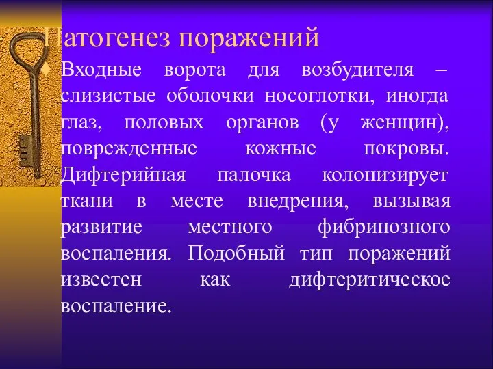 Патогенез поражений Входные ворота для возбудителя – слизистые оболочки носоглотки, иногда