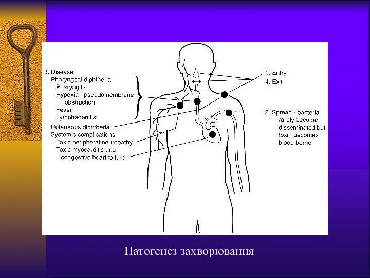 Патогенез захворювання