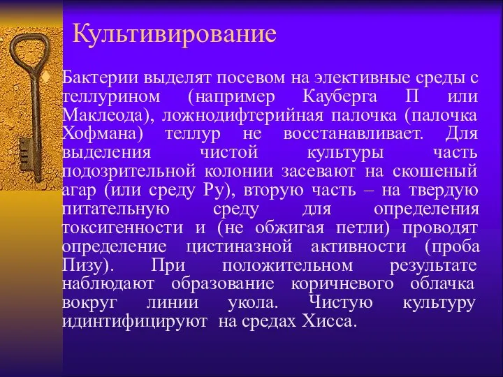 Культивирование Бактерии выделят посевом на элективные среды с теллурином (например Кауберга