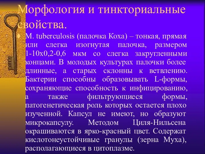 Морфология и тинкториальные свойства. M. tuberculosis (палочка Коха) – тонкая, прямая