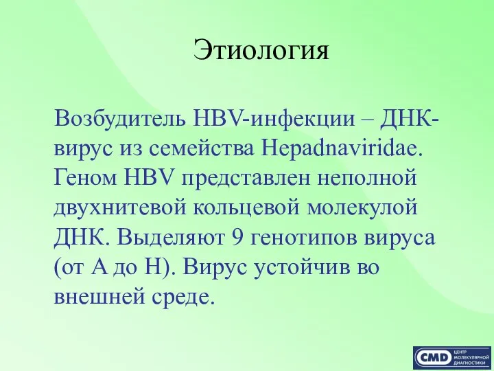 Этиология Возбудитель HBV-инфекции – ДНК-вирус из семейства Hepadnaviridae. Геном HBV представлен