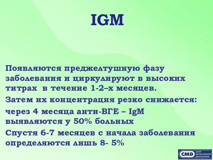 IGM Появляются преджелтушную фазу заболевания и циркулируют в высоких титрах в