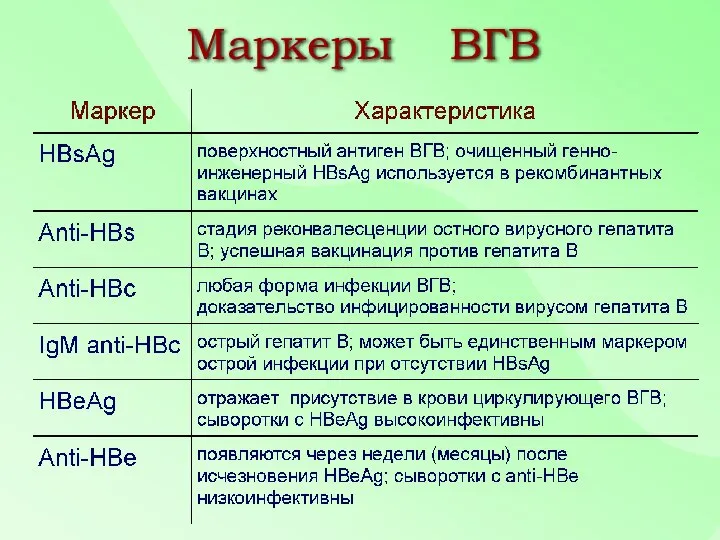 Маркеры ВГВ