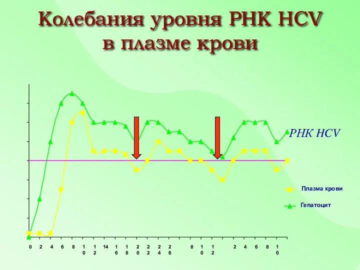 Колебания уровня РНК HCV в плазме крови