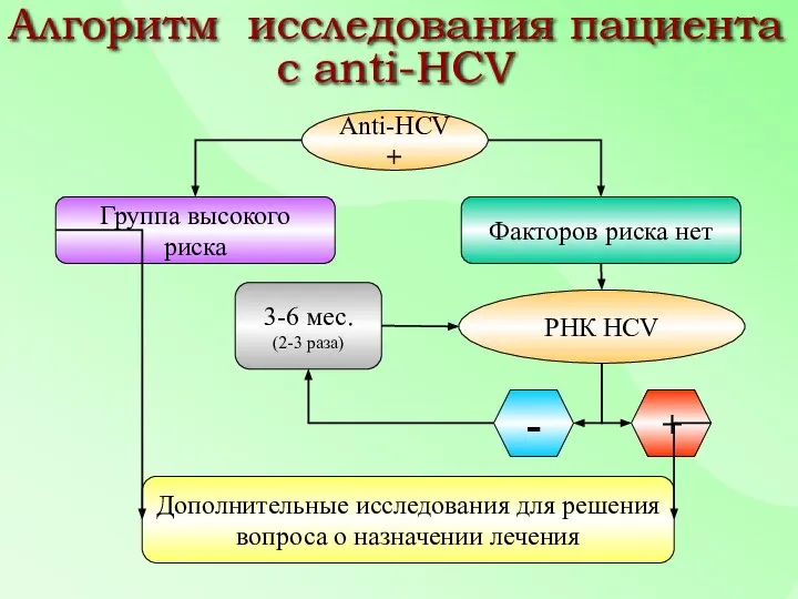 Anti-HCV + Группа высокого риска Факторов риска нет Дополнительные исследования для