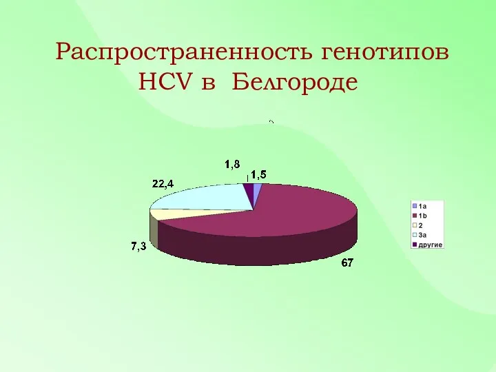 Распространенность генотипов HCV в Белгороде