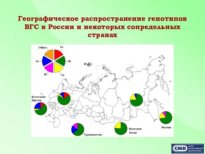 Географическое распространение генотипов ВГС в России и некоторых сопредельных странах