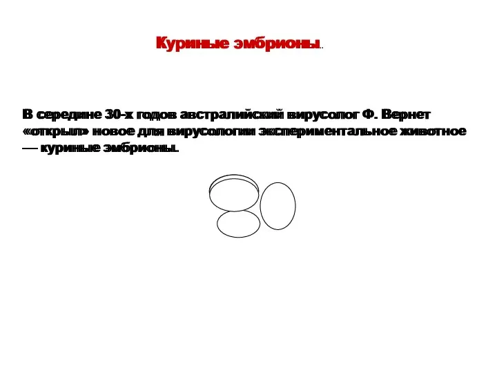 Куриные эмбрионы. В середине 30-х годов австралийский вирусолог Ф. Вернет «открыл»