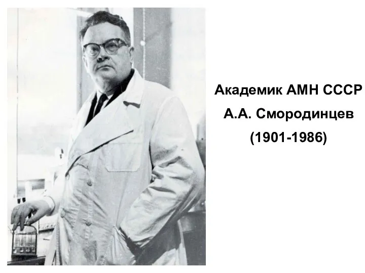 Академик АМН СССР А.А. Смородинцев (1901-1986)