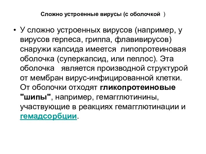 Сложно устроенные вирусы (с оболочкой ) У сложно устроенных вирусов (например,