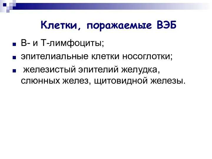 Клетки, поражаемые ВЭБ В- и Т-лимфоциты; эпителиальные клетки носоглотки; железистый эпителий желудка, слюнных желез, щитовидной железы.