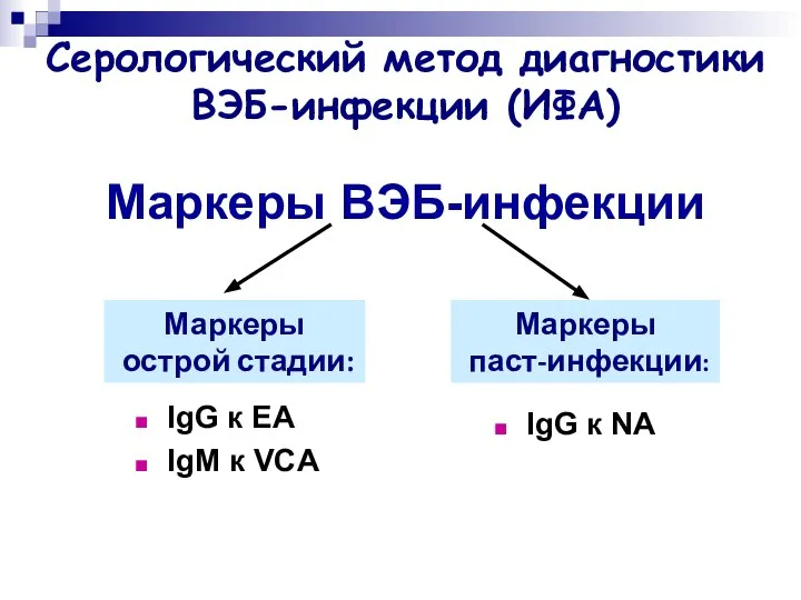 Маркеры ВЭБ-инфекции IgG к EA IgM к VCA IgG к NA