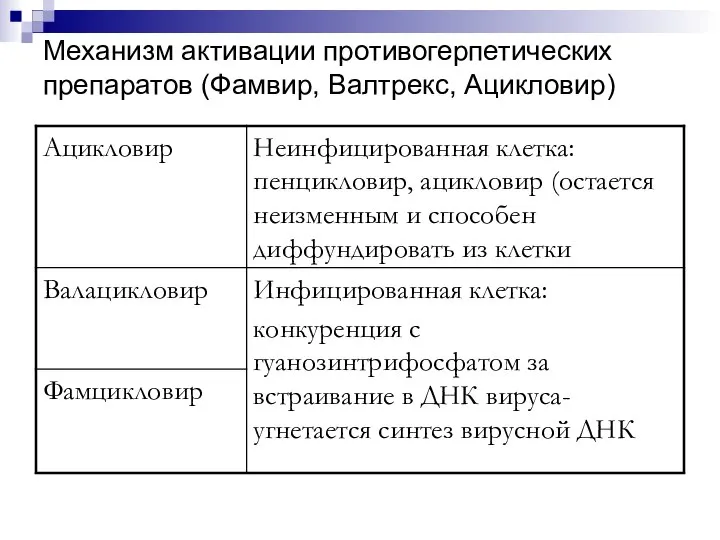 Механизм активации противогерпетических препаратов (Фамвир, Валтрекс, Ацикловир)