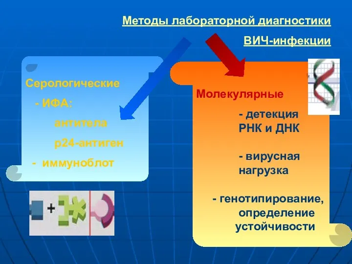 Серологические - ИФА: антитела р24-антиген - иммуноблот Методы лабораторной диагностики ВИЧ-инфекции