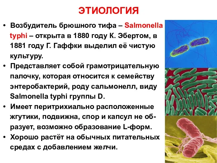 ЭТИОЛОГИЯ Возбудитель брюшного тифа – Salmonella typhi – открыта в 1880