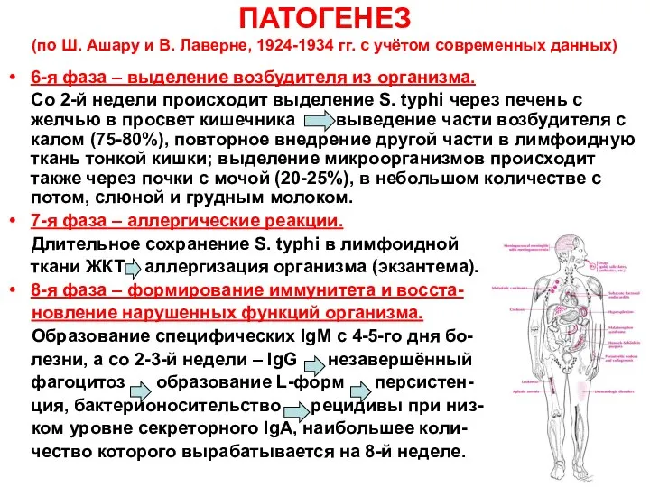 ПАТОГЕНЕЗ (по Ш. Ашару и В. Лаверне, 1924-1934 гг. с учётом