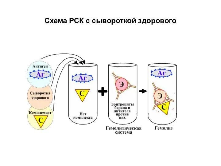 Схема РСК с сывороткой здорового