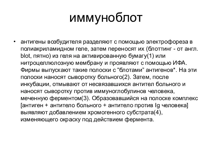 иммуноблот антигены возбудителя разделяют с помощью электрофореза в полиакриламидном геле, затем