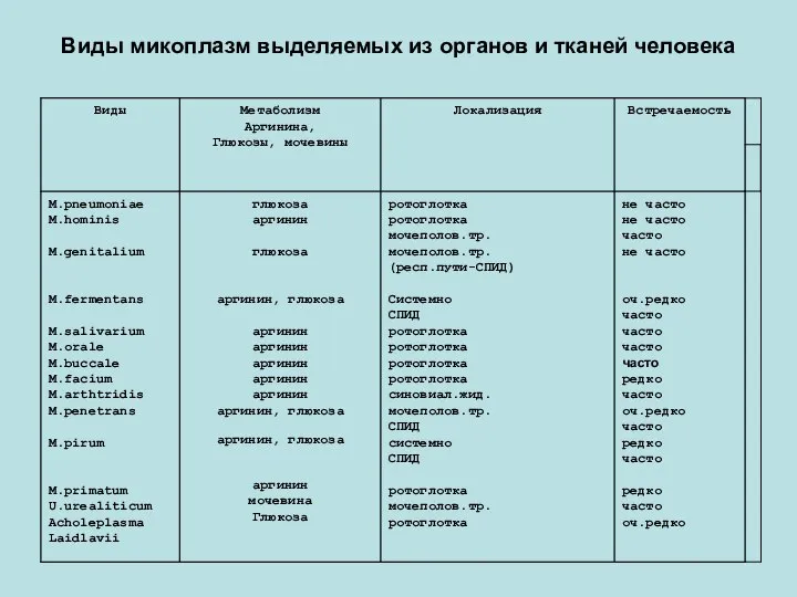 Виды микоплазм выделяемых из органов и тканей человека