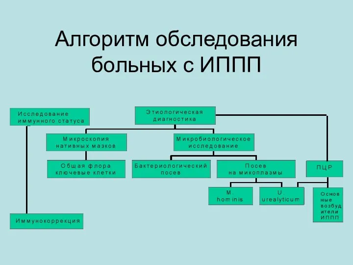 Алгоритм обследования больных с ИППП