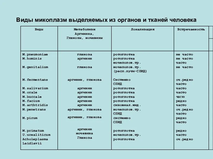 Виды микоплазм выделяемых из органов и тканей человека