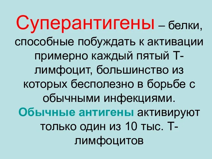 Суперантигены – белки, способные побуждать к активации примерно каждый пятый Т-лимфоцит,