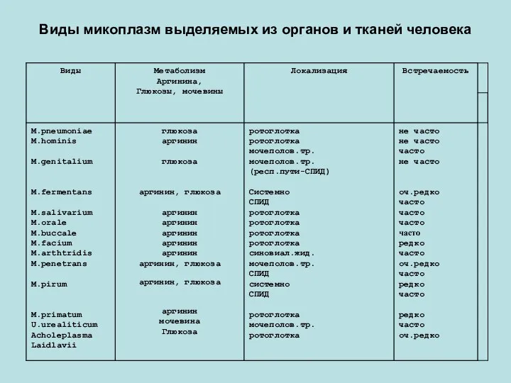 Виды микоплазм выделяемых из органов и тканей человека