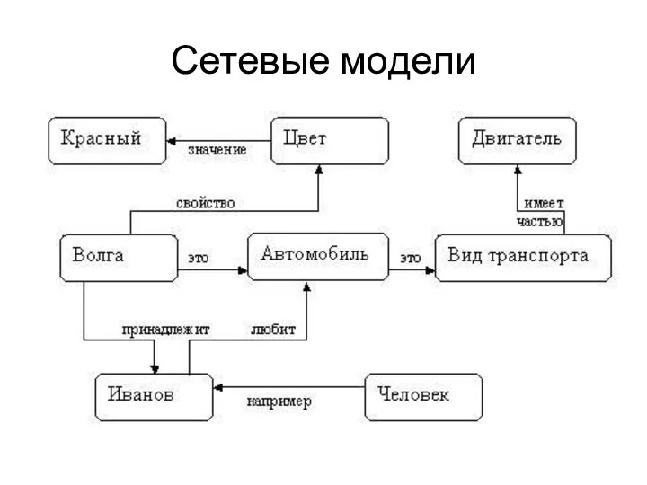 Сетевые модели