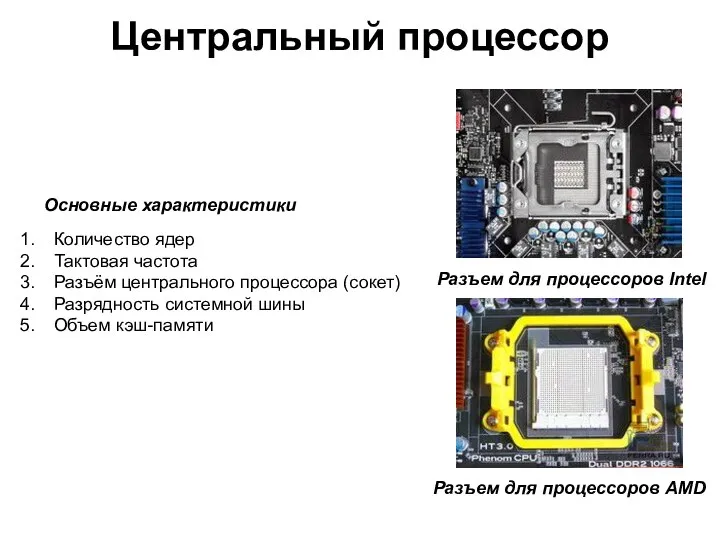 Центральный процессор Основные характеристики Количество ядер Тактовая частота Разъём центрального процессора