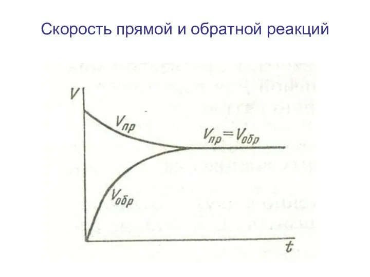 Скорость прямой и обратной реакций